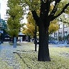 妊娠３４週の画像