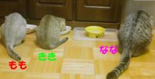 わつみと愉快な仲間たち