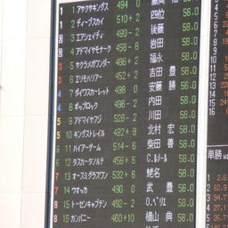 天皇賞秋_馬体重