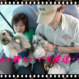 画像 ２００８年　遠足♪　土岐プレミアムアウトレット！！ の記事より 24つ目