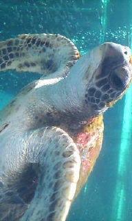 20080827142315.jpg