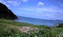 CA390027.JPG