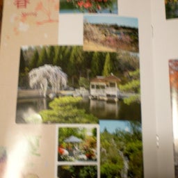 画像 紅葉？ の記事より 4つ目