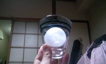 081029_212304.JPG