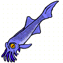 Sardine Squid