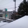 仙台は大雪です（Ｔ＿Ｔ）の画像