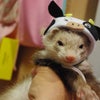 今年も♪の画像