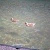2008/12/05の画像