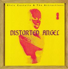 Distorted Angel_front