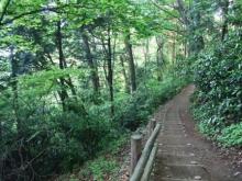 高尾山02