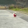 ちら雪の画像