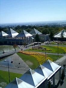 061009_1114~0001.jpg