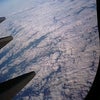 現実への画像