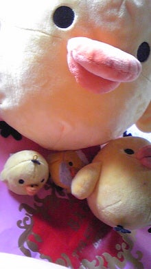 DVC00168.jpg