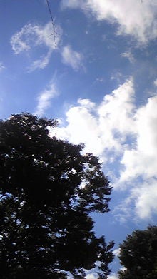 080920_103211.jpg