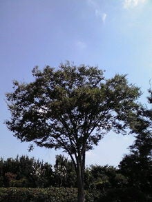 2008091010170000.jpg