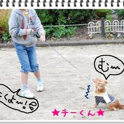 画像 【わんわん運動会！！ｉｎ２００８】part１♪ の記事より 12つ目