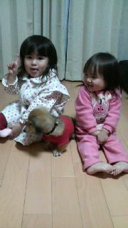 2008120200570000.jpg