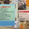 12月19日早朝　曇りの画像