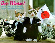 なめねこ