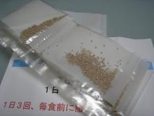 薬2.jpg