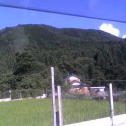 ハチのブログ-07-27-08_1621.jpg