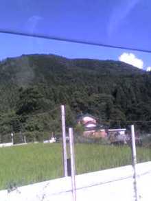 ハチのブログ-07-27-08_1621.jpg