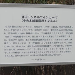 画像 ホリデー快速ビューやまなし号で勝沼ぶどう郷へ②大日影トンネル の記事より 8つ目