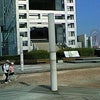 MOTOR SPORT JAPAN 2008　お台場の画像