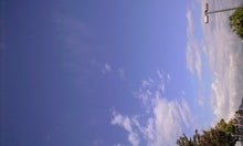 CA390253.JPG