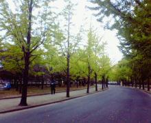 200610291216000.jpg