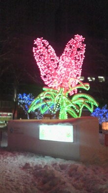 ★crazy★blog★-2008122722030000.jpg