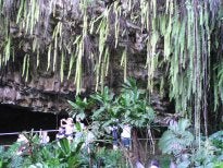 cave