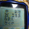 チッヴァウンダ！の画像