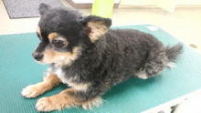 ☆☆☆JUN★LIFE☆☆☆-2009030115090000.jpg