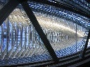IMG_3749_ed.jpg