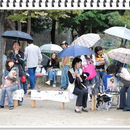 画像 【わんわん運動会ｉｎ２００８！！】Part3♪ の記事より 14つ目