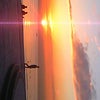 ゆうひの画像