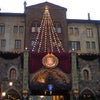 ディズニー(≧∀≦)の画像