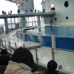 ｖｏｌｃｏｍのブログ