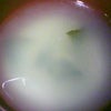 ネットカフェひとり…⑥の画像