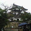 お泊まり旅行〜彦根城で ナンチャンに握手してもらっちゃったの画像