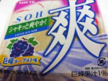 sou