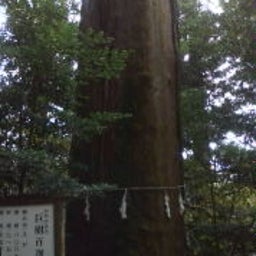 画像 高千穂 の記事より