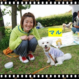 画像 ２００８年　遠足♪木曽三川公園！！ の記事より 14つ目