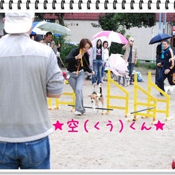 画像 【わんわん運動会！！ｉｎ２００８】part１♪ の記事より 13つ目