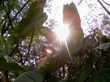 minapricilla-080924_1306_001.jpg