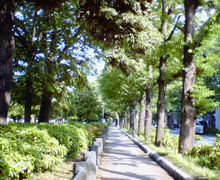 200705111514000.jpg