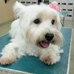 ☆☆☆JUN★LIFE☆☆☆-2009030114580000.jpg