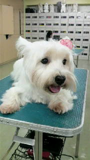 ☆☆☆JUN★LIFE☆☆☆-2009030114580000.jpg